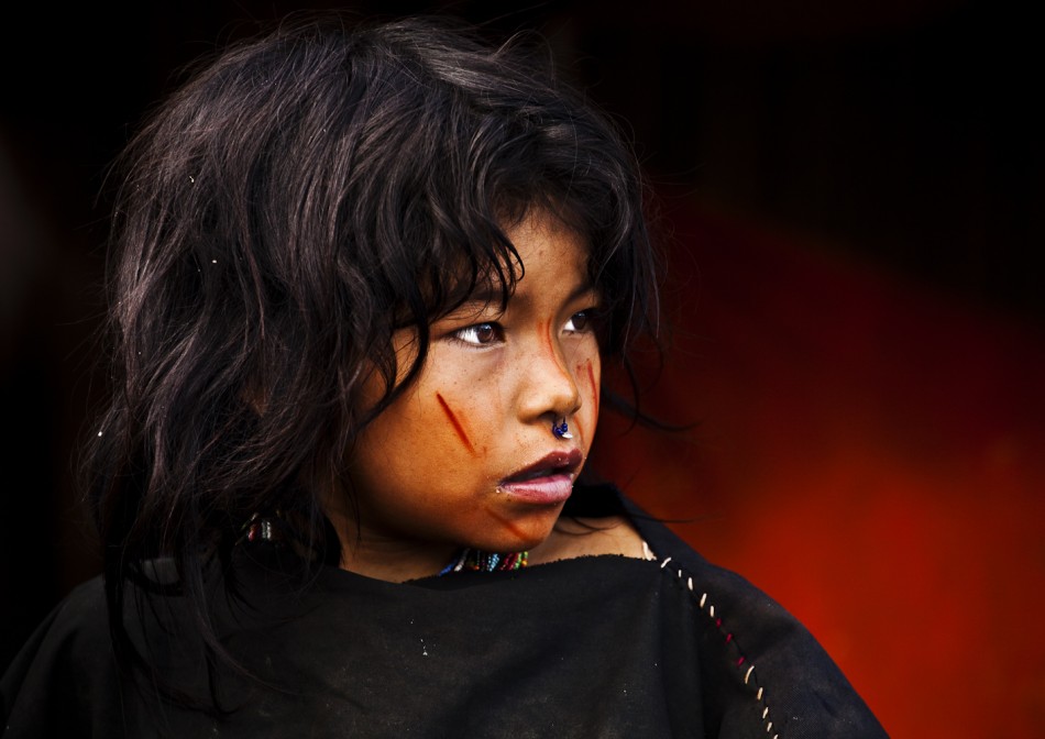 Portraits of the Disappearing Amazon