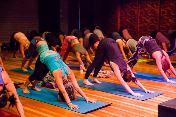 Ekam Yoga Festival Port Macquarie. Photo by Alicia Fox Photography