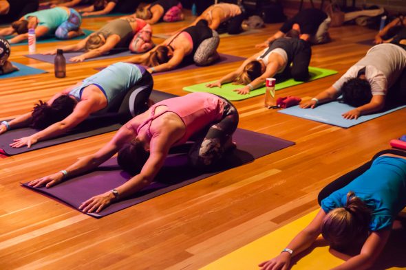 Ekam Yoga Festival Port Macquarie. Photo by Alicia Fox Photography