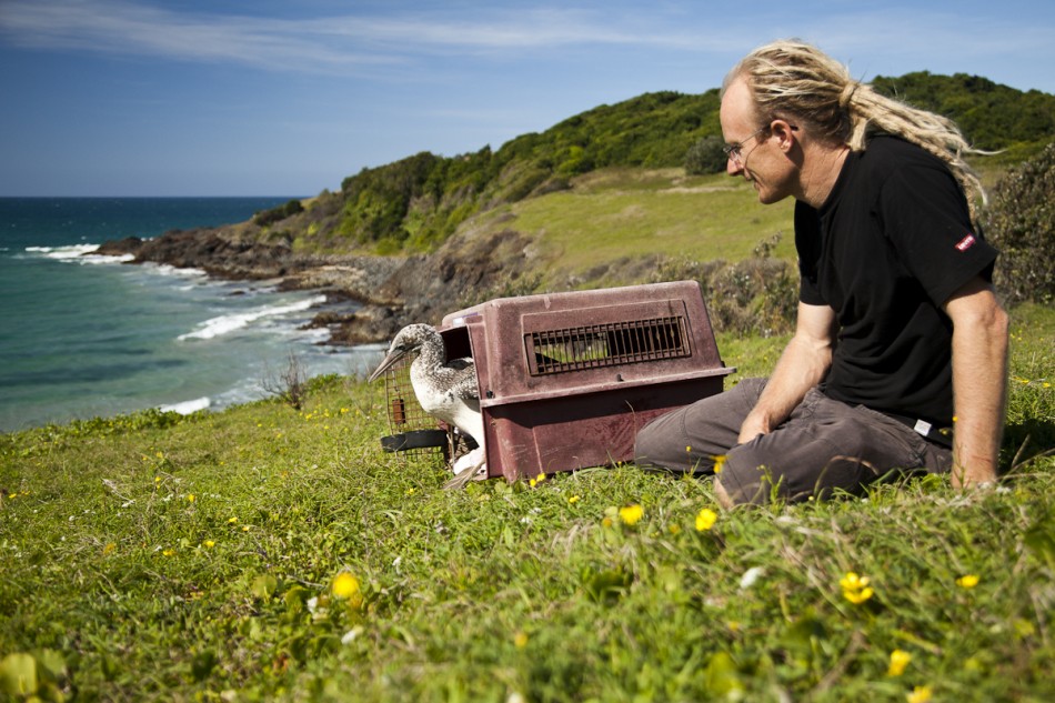 Animal Rescue in Crescent Head