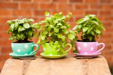 Kempsey Photography: South Kempsey Corner Store