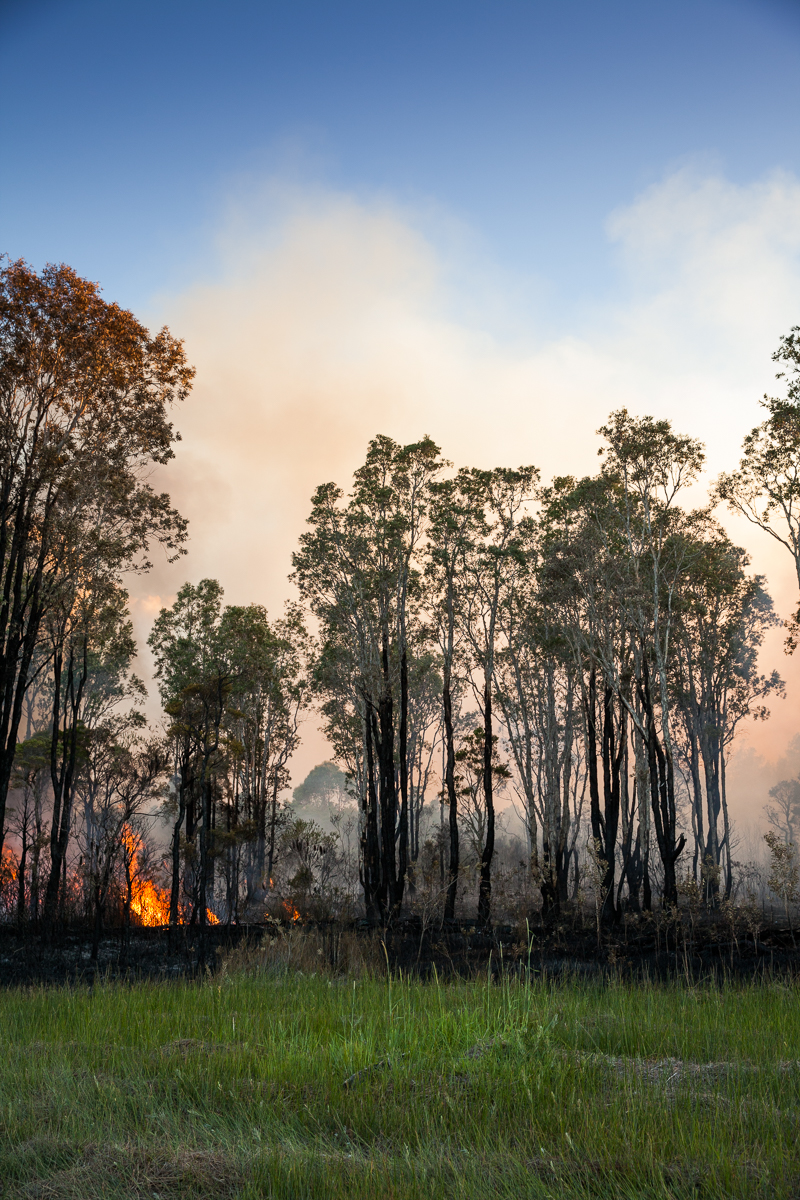 Crescent Head Photography – Big Hill Trail Bush Fire