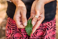 Energy Forever Port Macquarie Photography