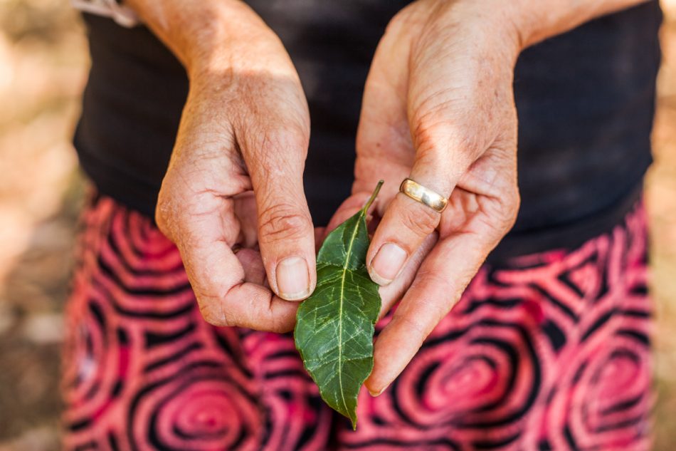 Photography at Birpai Centre Port Macquarie
