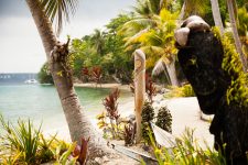 Tash Sultana at Festival of the Sun